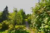 Großes Potenzial mit 1200 m² Grundstück - Garten 5