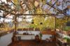 Charmantes Einfamilienhaus mit großem Grundstück und viel Potenzial - Terrasse EG